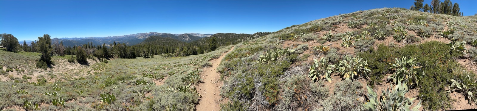 A pano from day two afternoon.