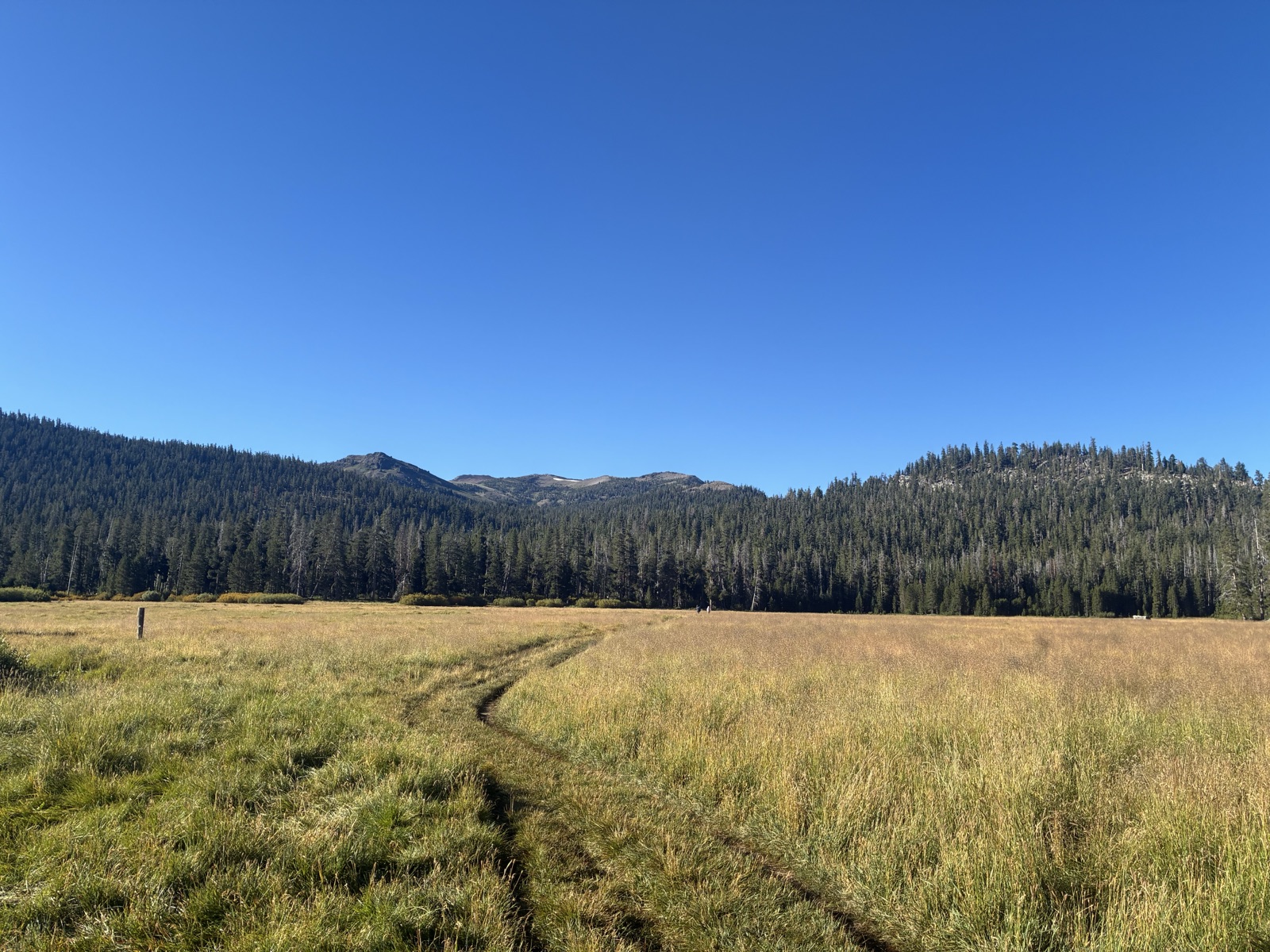 Big Meadow.