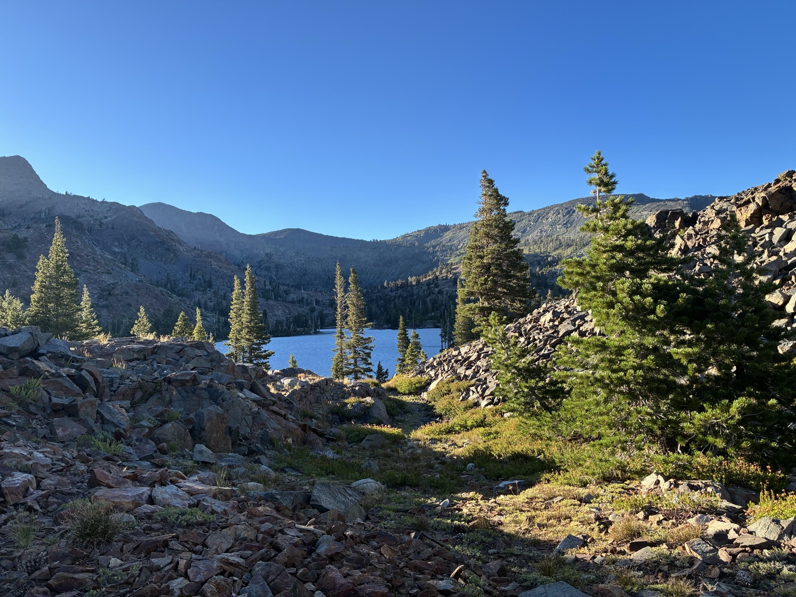 Susie Lake.