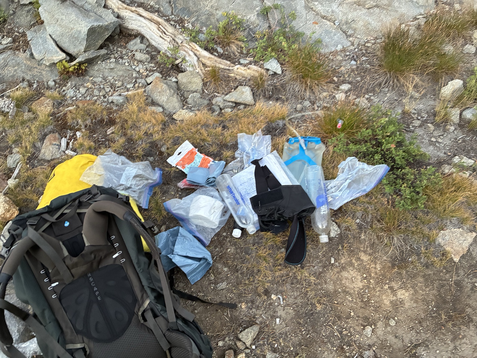 My pack after some animal chewed through a wag bag and pulled all of this stuff out.